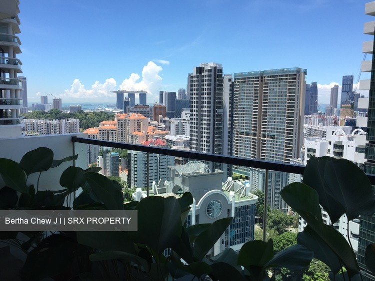 8 Saint Thomas thumbnail photo